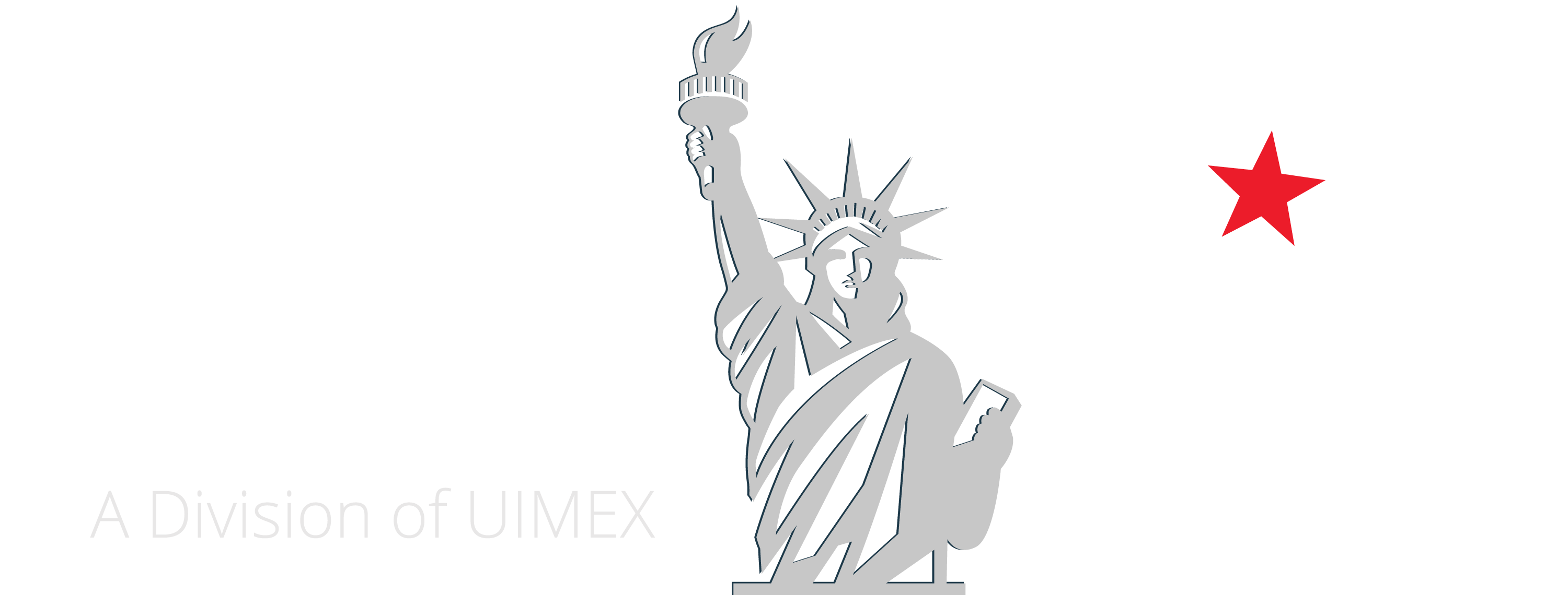 U.S. Immigration Services